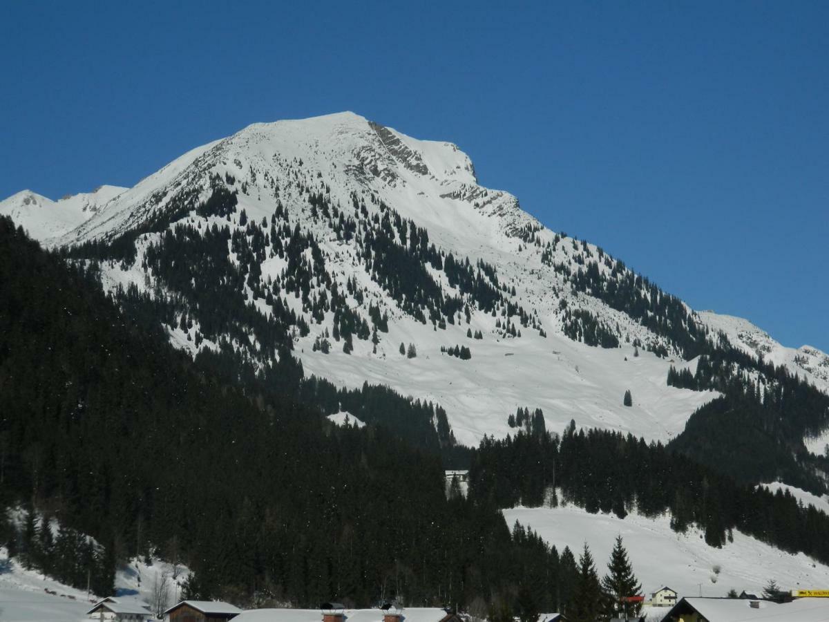 Haus Mary Lägenhet Rußbach am Paß Gschütt Exteriör bild